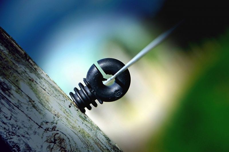 Weidezaunisolator