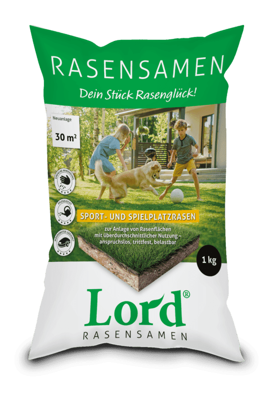 Grün-weißer 1 Kilo Sack Rasensamen für Sport- und Spielplätze