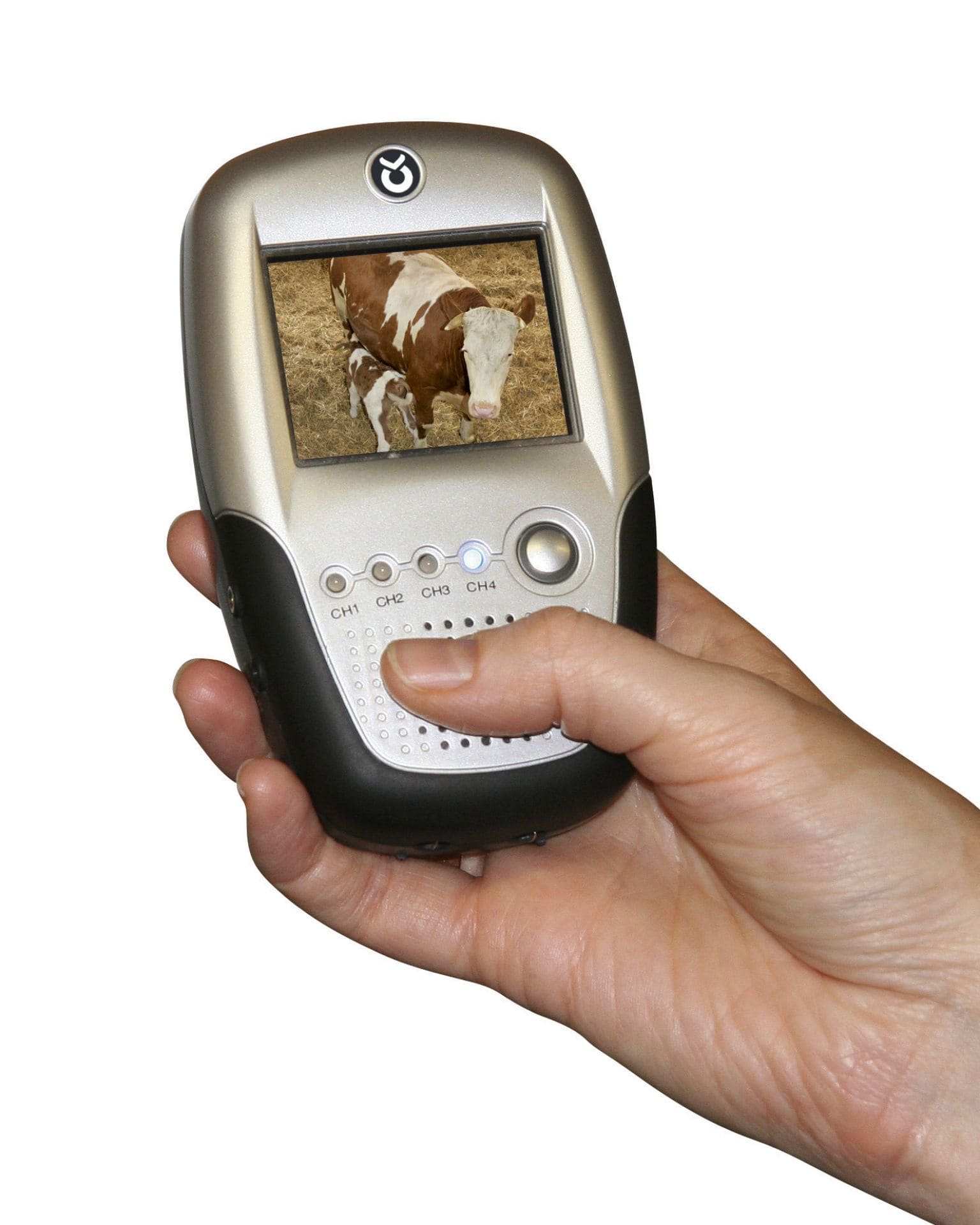 Der silberne Kerbl Monitor in der Hand mit einem Bild einer Kuh mit Kalb auf dem Display