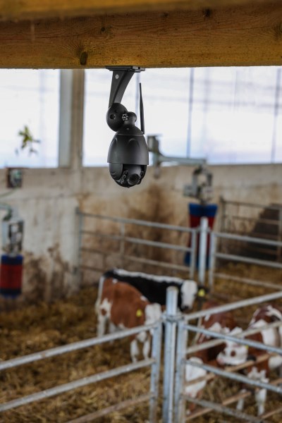 Überwachungskamera IPCam 360° FHD an Rinderstall-Decke montiert