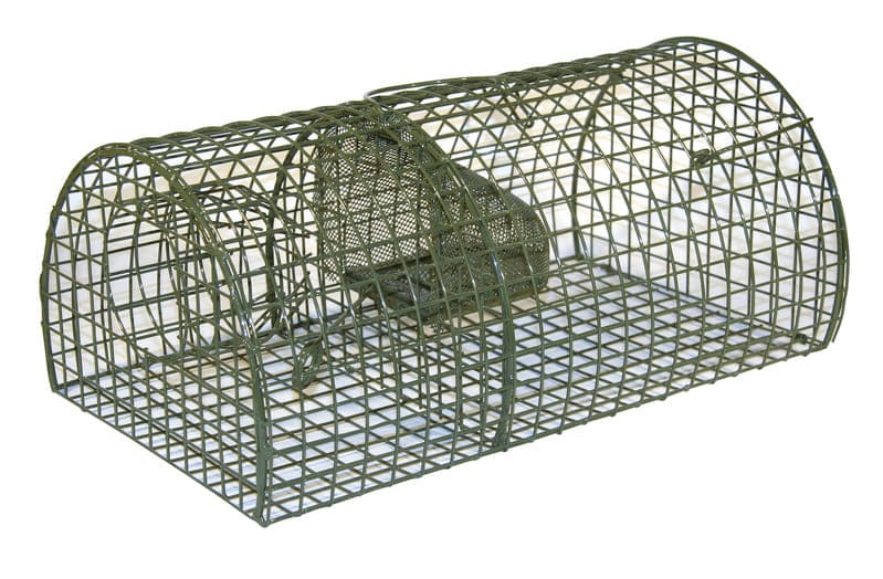 Ratten-Massenfänger Lebendfalle MultiRat - Falltür