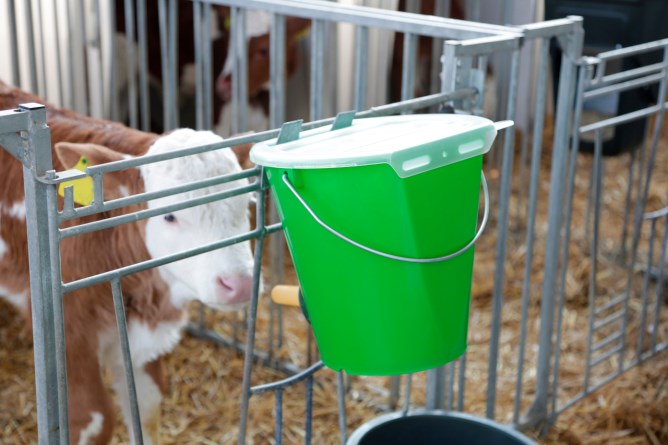 Der weiß transparente MilkGuard Deckel auf einem grünen Tränkeeimer angehängt an einer Kälberhüttenumzäunung