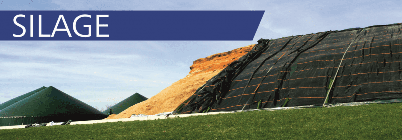Silage Haufen mit Biogasanlage im Hintergrund
