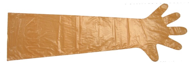 Ein Kerbl Veterinär-Einmalhandschuh VETbasic in orange