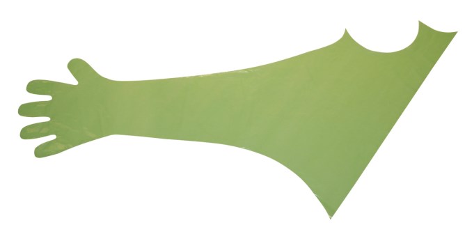 Ein Kerbl Veterinär-Einmalhandschuh mit Schulterschutz in grün