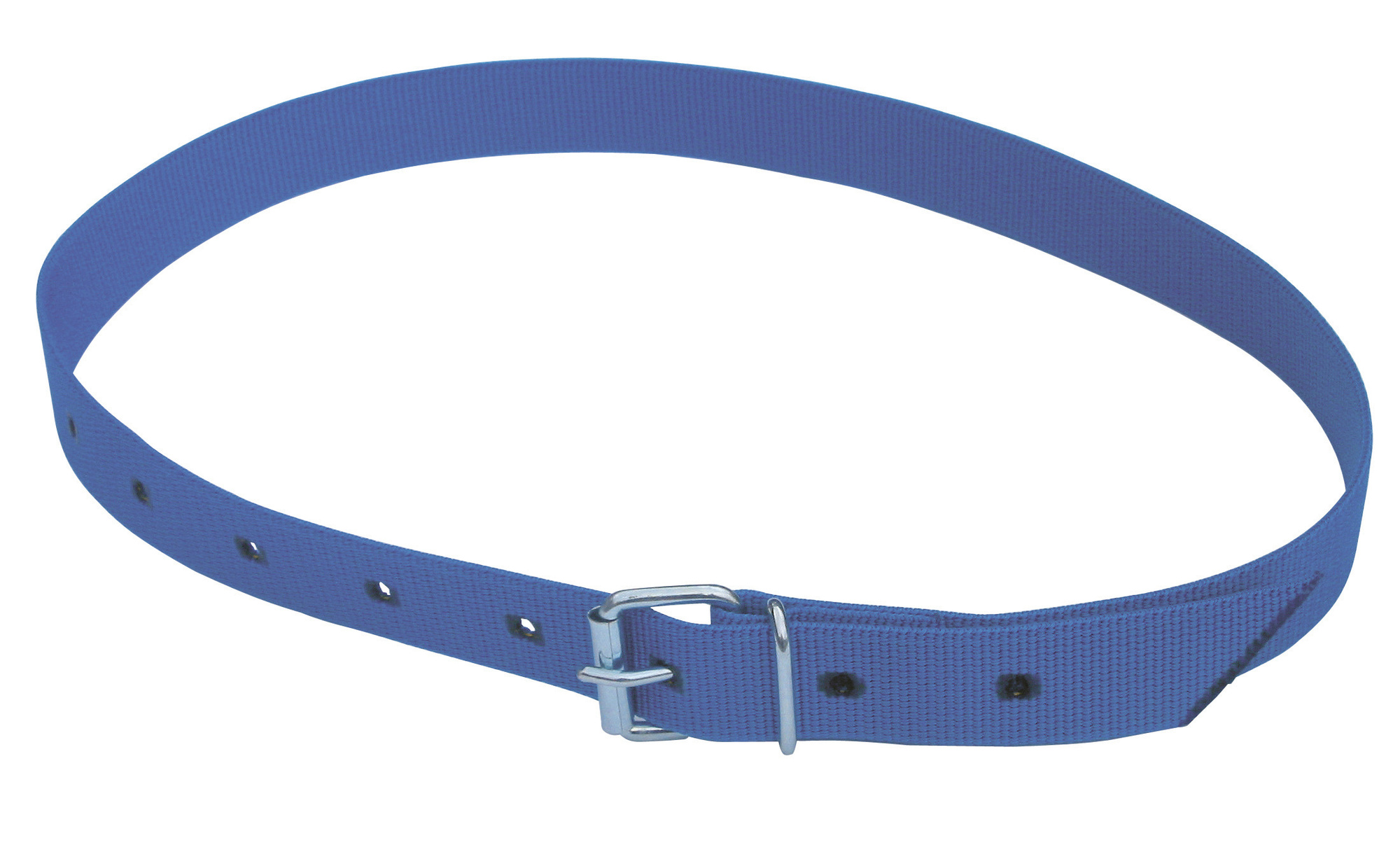 Halsmarkierungsband mit Rollschnalle, blau