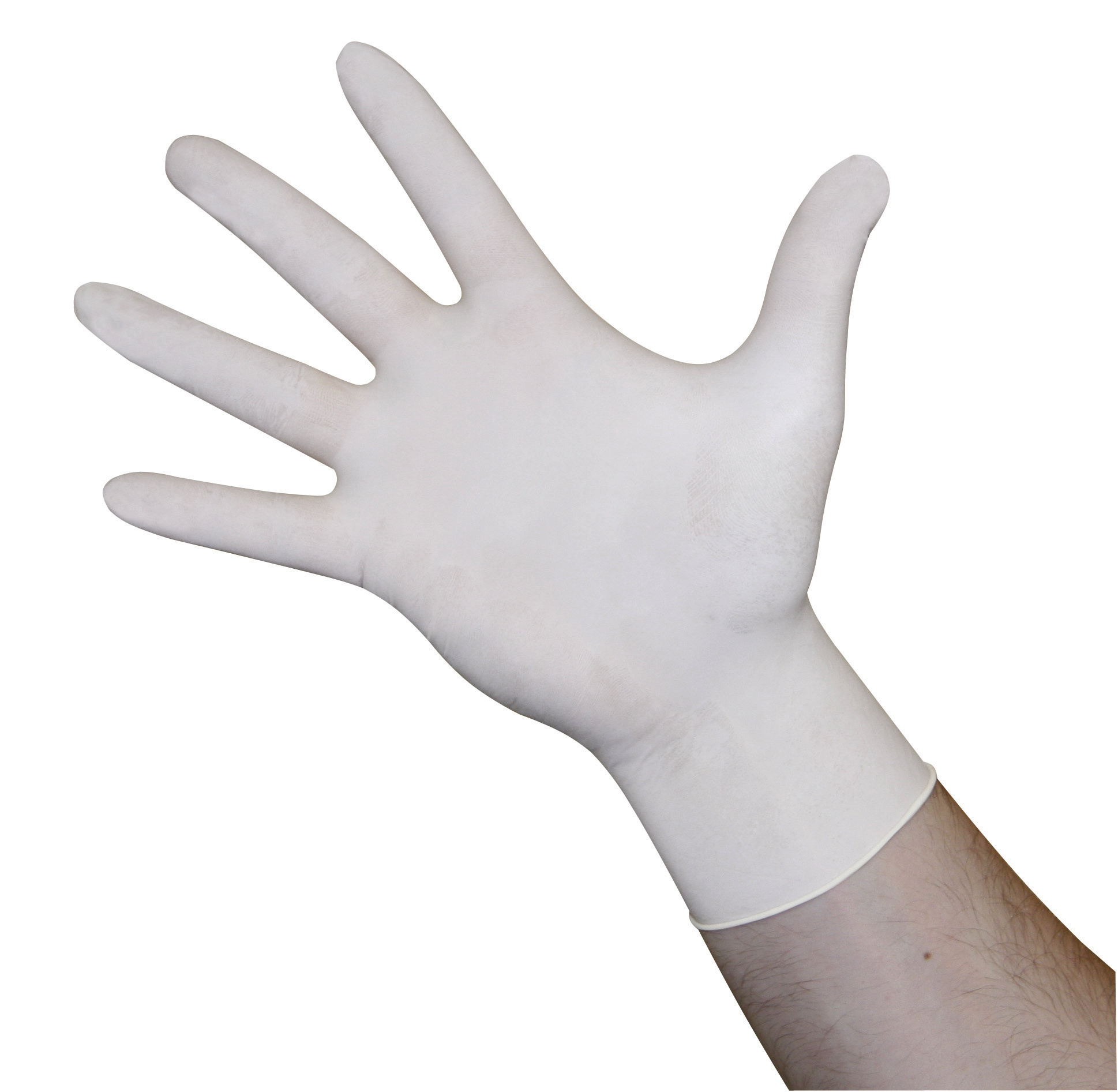 Latex Einmalhandschuh "Latex Top"_Rechte Hand