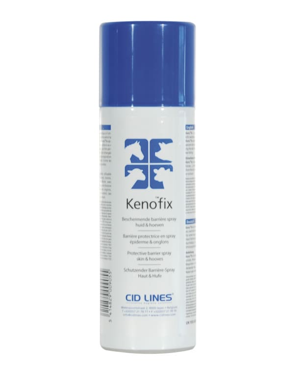 Die weiße 300 ml Sprühdose Kenofix mit blauem Deckel