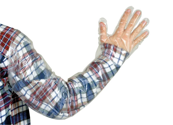 Ein Kerbl Veterinär-Einmalhandschuh VETtop in transparent am rechten Arm angezogen über ein rot, blau und weiß kariertes Hemd