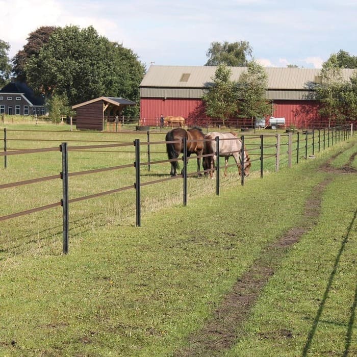 Feldweg mit Weidezaun, dahinter zwei Pferde