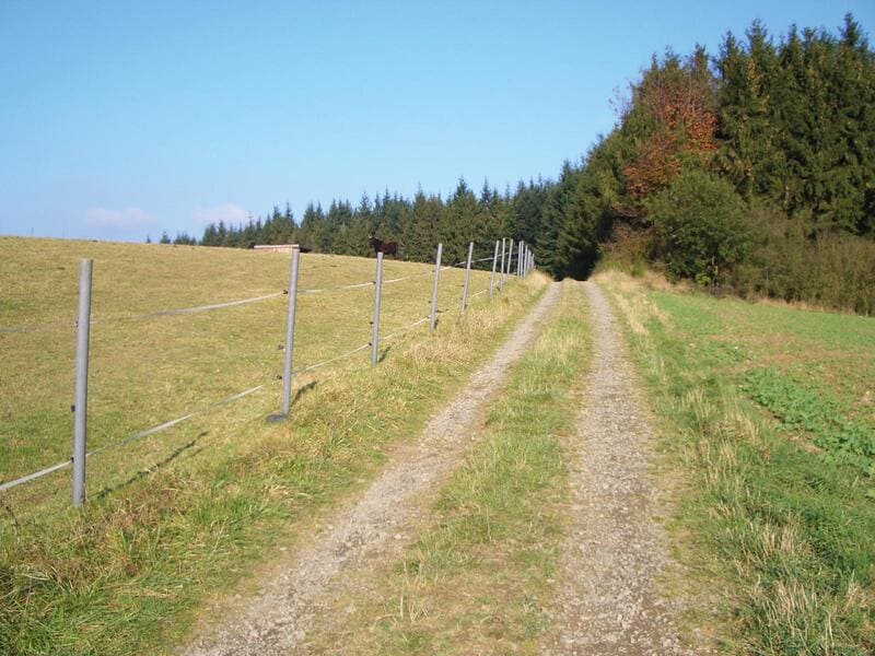 Recycling_Rundpfosten_Reku_spitze_201100_Rundpfosten_Zaun_Gebr. Honnens GmbH
