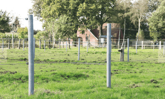 Recycling Rundpfosten Reku mit Spitze im Weidezaun auf grüner Koppel
